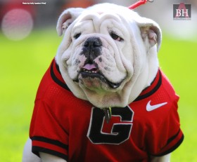 Georgia Bulldogs Wallpaper - Georgia Bulldogs Football